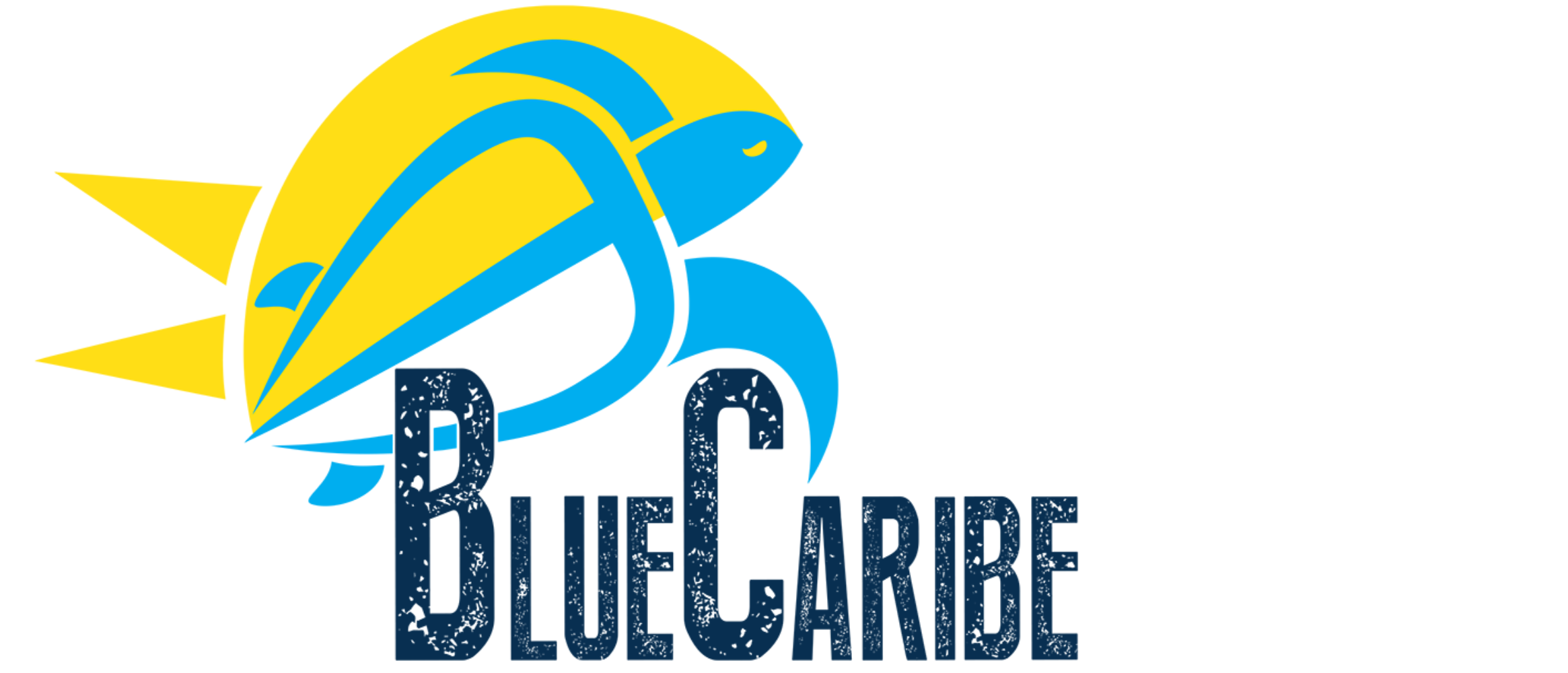Blue Caribe Tours