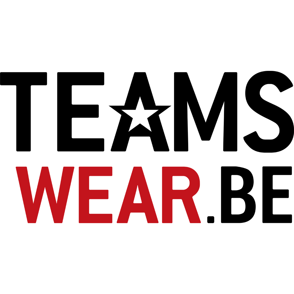 Teamswear logo