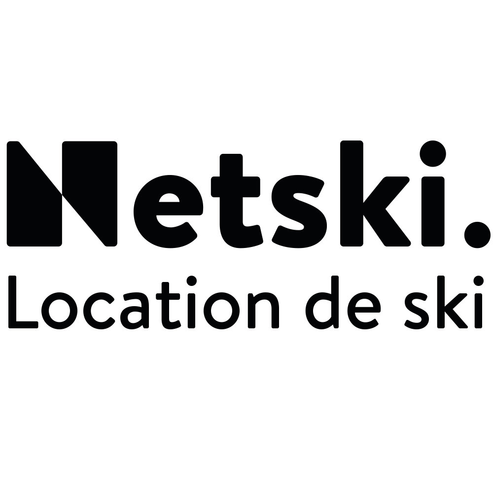 NetskiFR logo