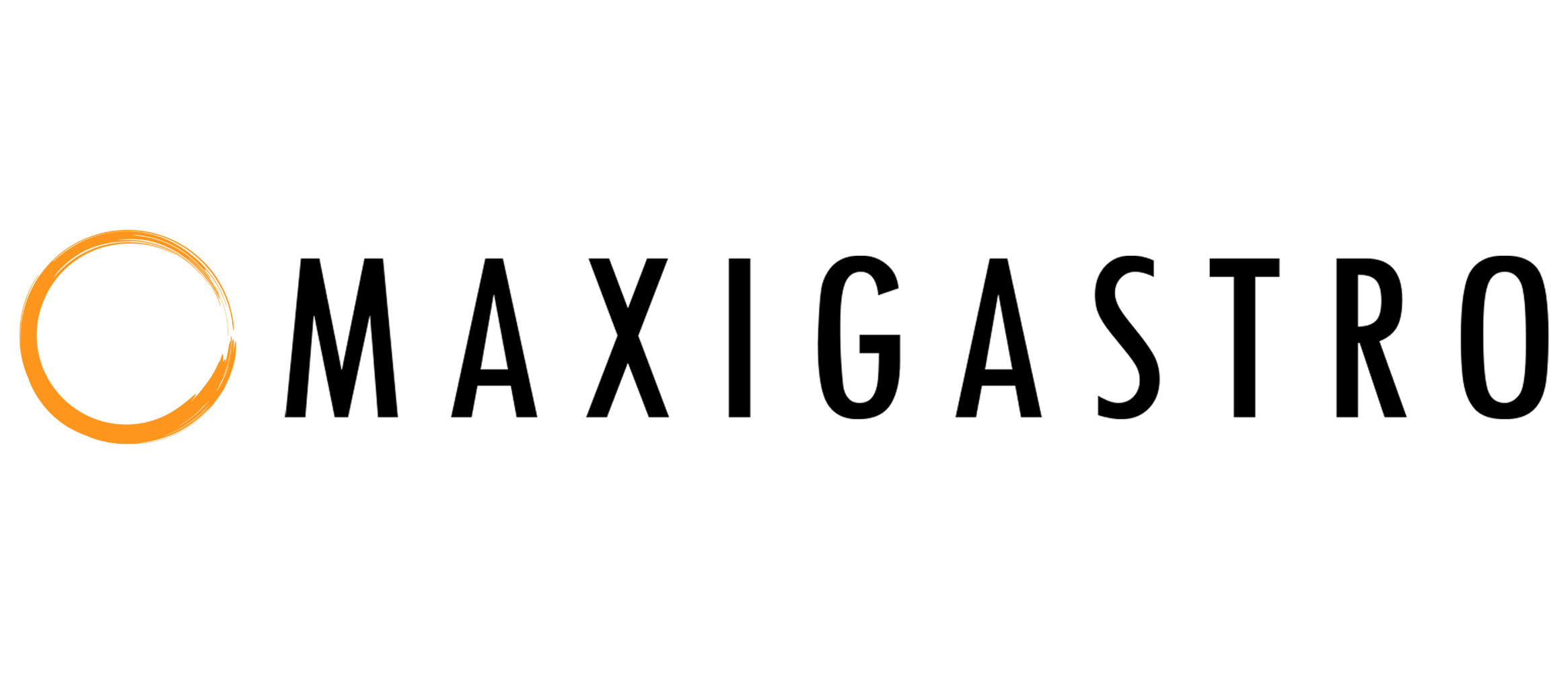 Logo Maxi Gastro