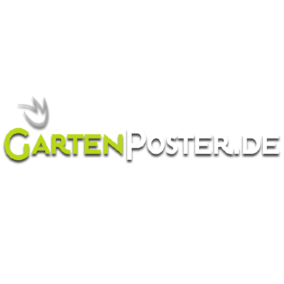 Händler-Bild