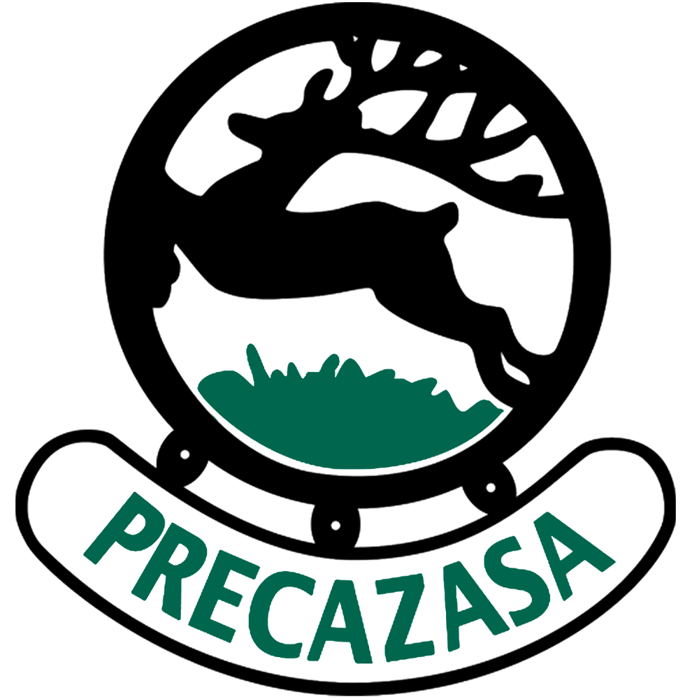 λογότυπο της Precazasa