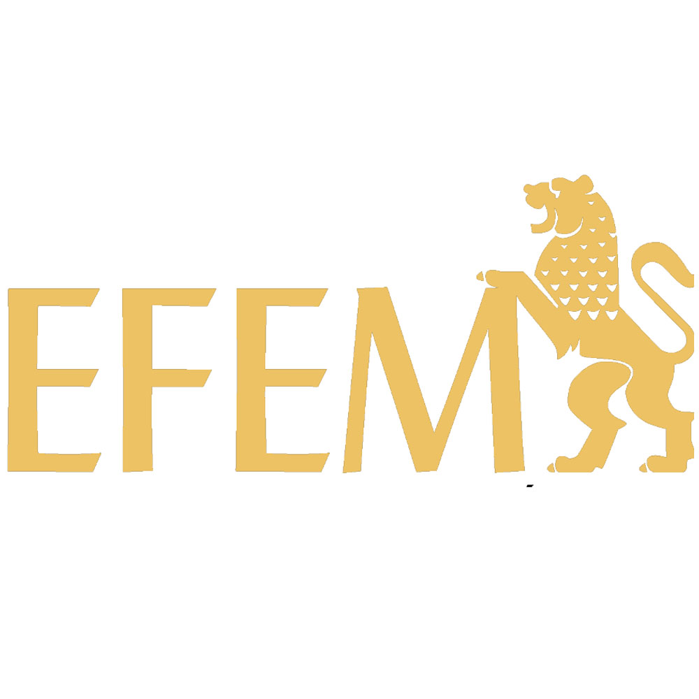 логотип EFEM