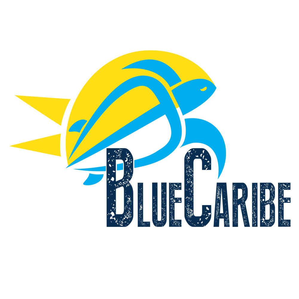 BlueCaribeTours logo