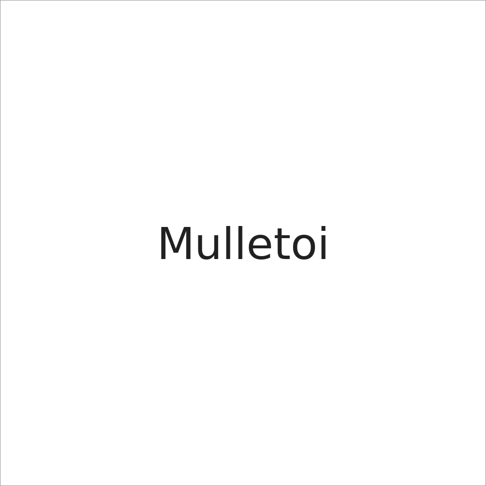 Mulletoi logo