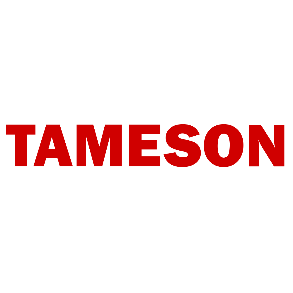 Tameson logo