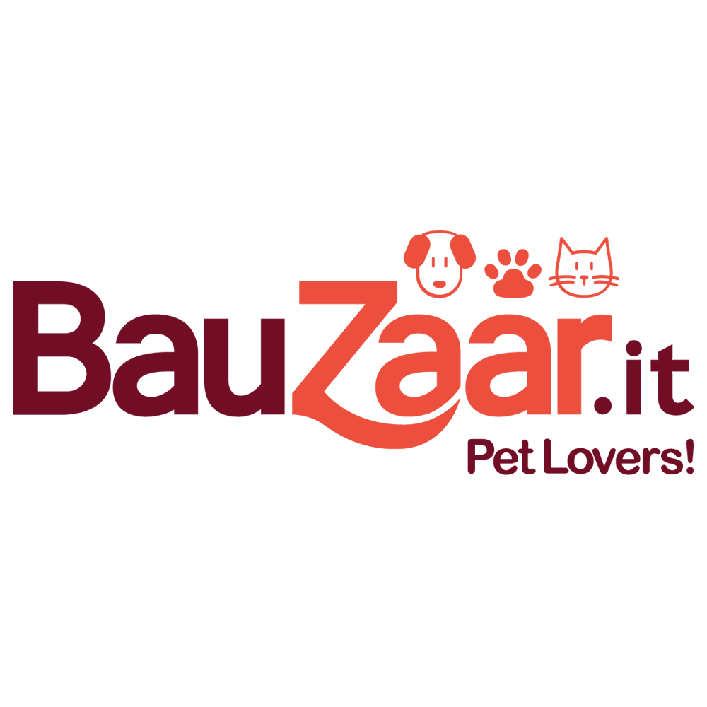 logo-ul Bauzaar