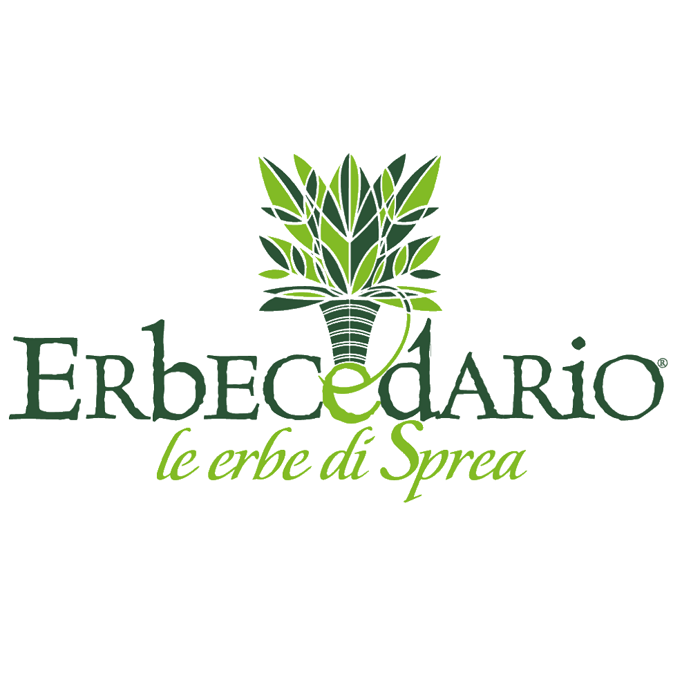Логотип Erbecedario