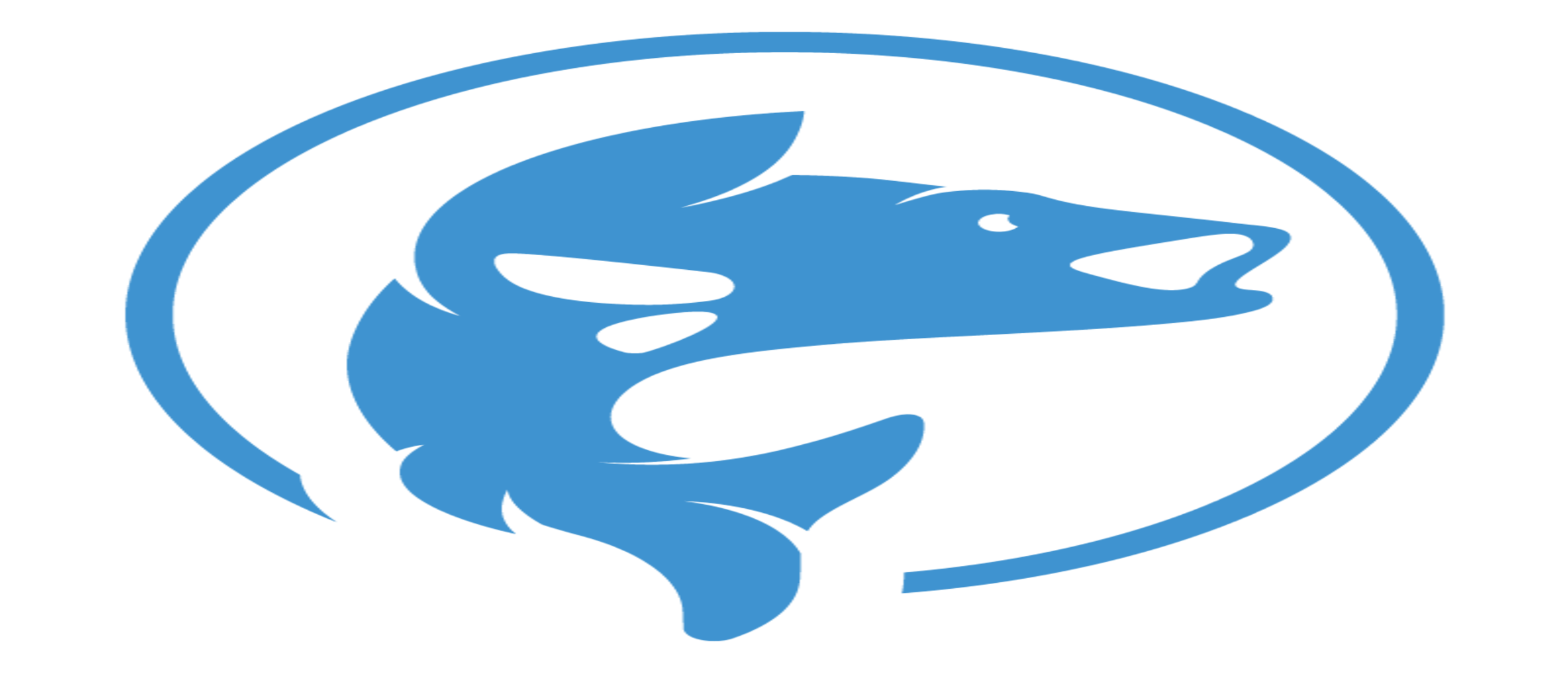 Deroofvisser.com