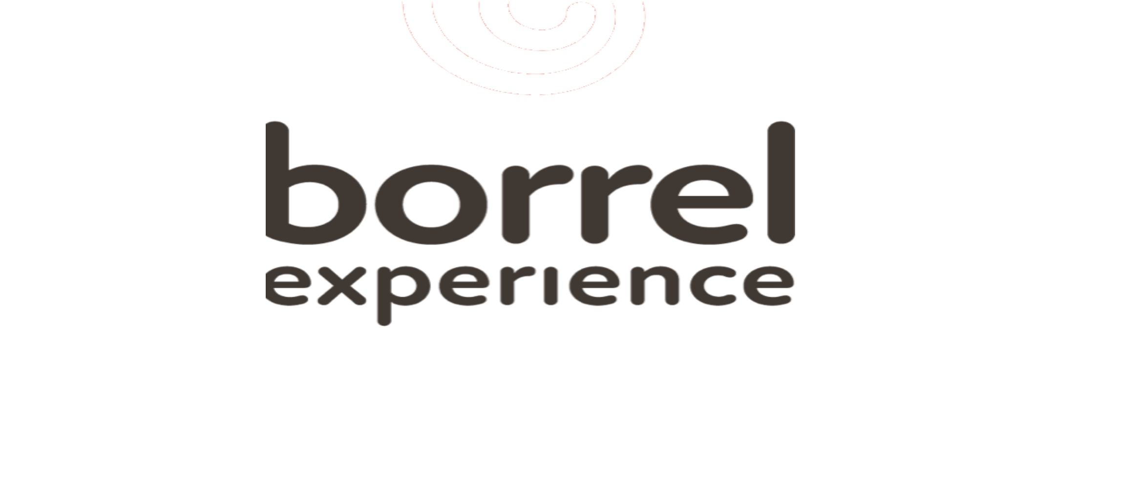 borrelexperience.nl