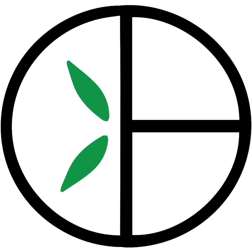 Логотип Bamboo basics