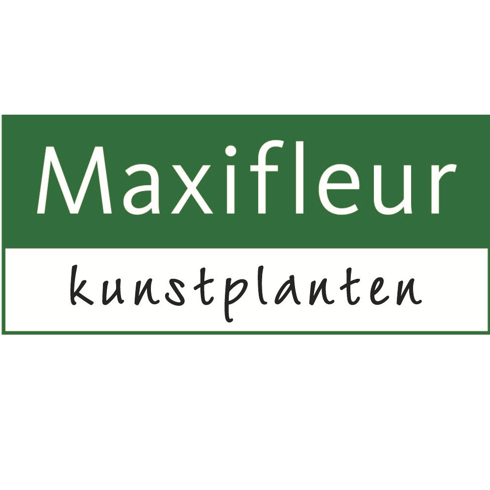 Klik hier voor de korting bij Maxifleur-kunstplanten