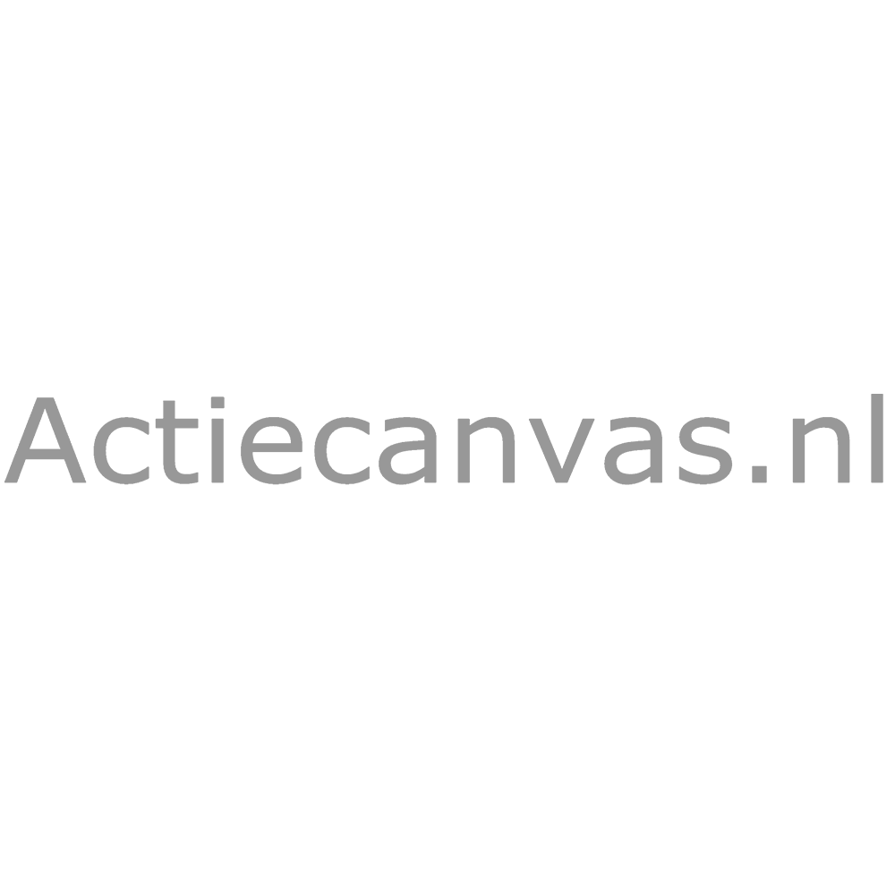 Klik hier voor de korting bij Actiecanvas