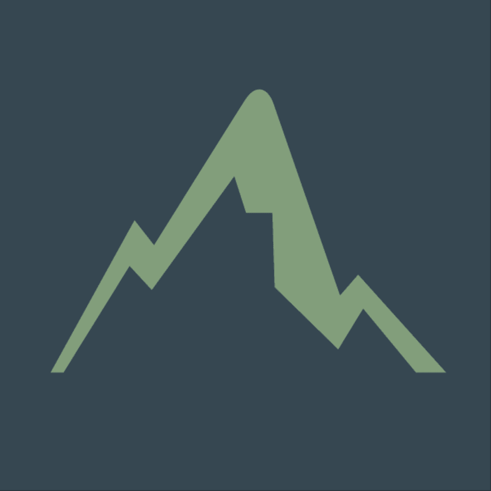 Topstore logo