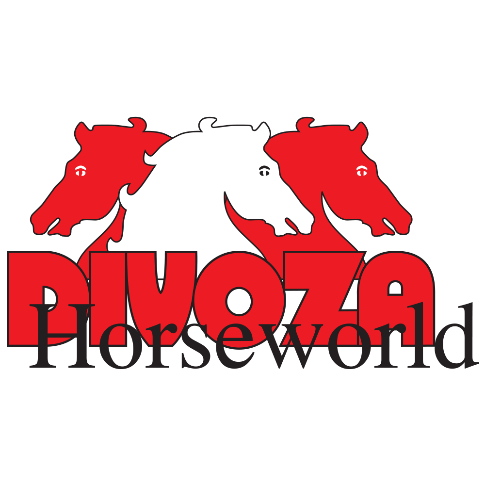 Logo tvrtke Divoza