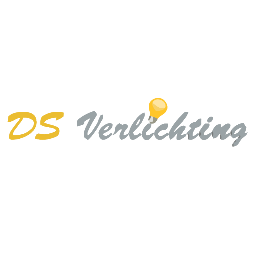 DS Verlichting logo