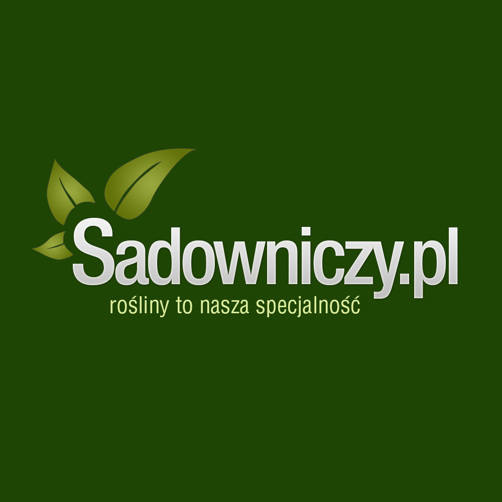 Polecane sklep online