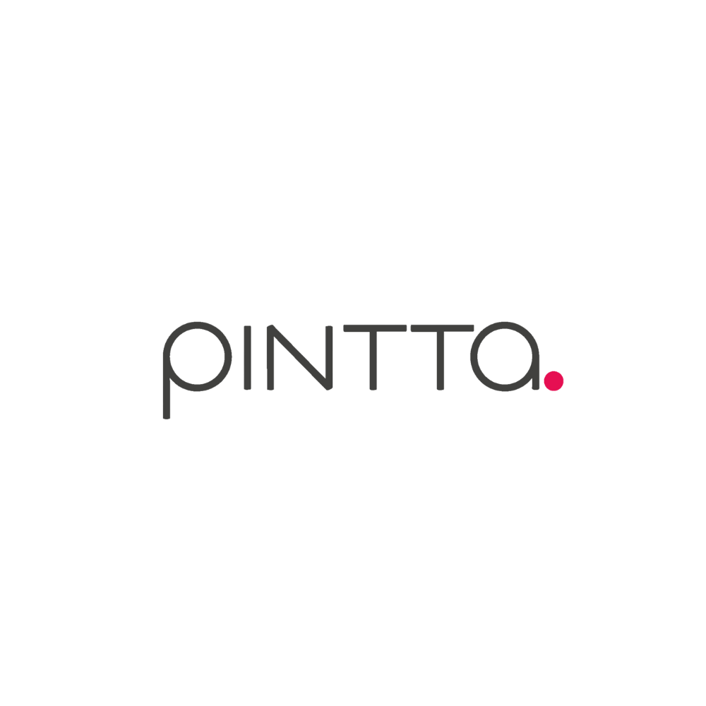 Pintta logo